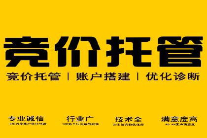 行业领先企业的信息流广告投放策略揭秘